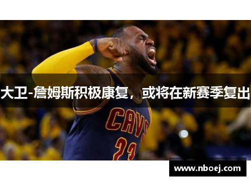 大卫-詹姆斯积极康复，或将在新赛季复出